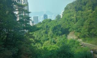 深圳两日游路线有哪些 香港两日游